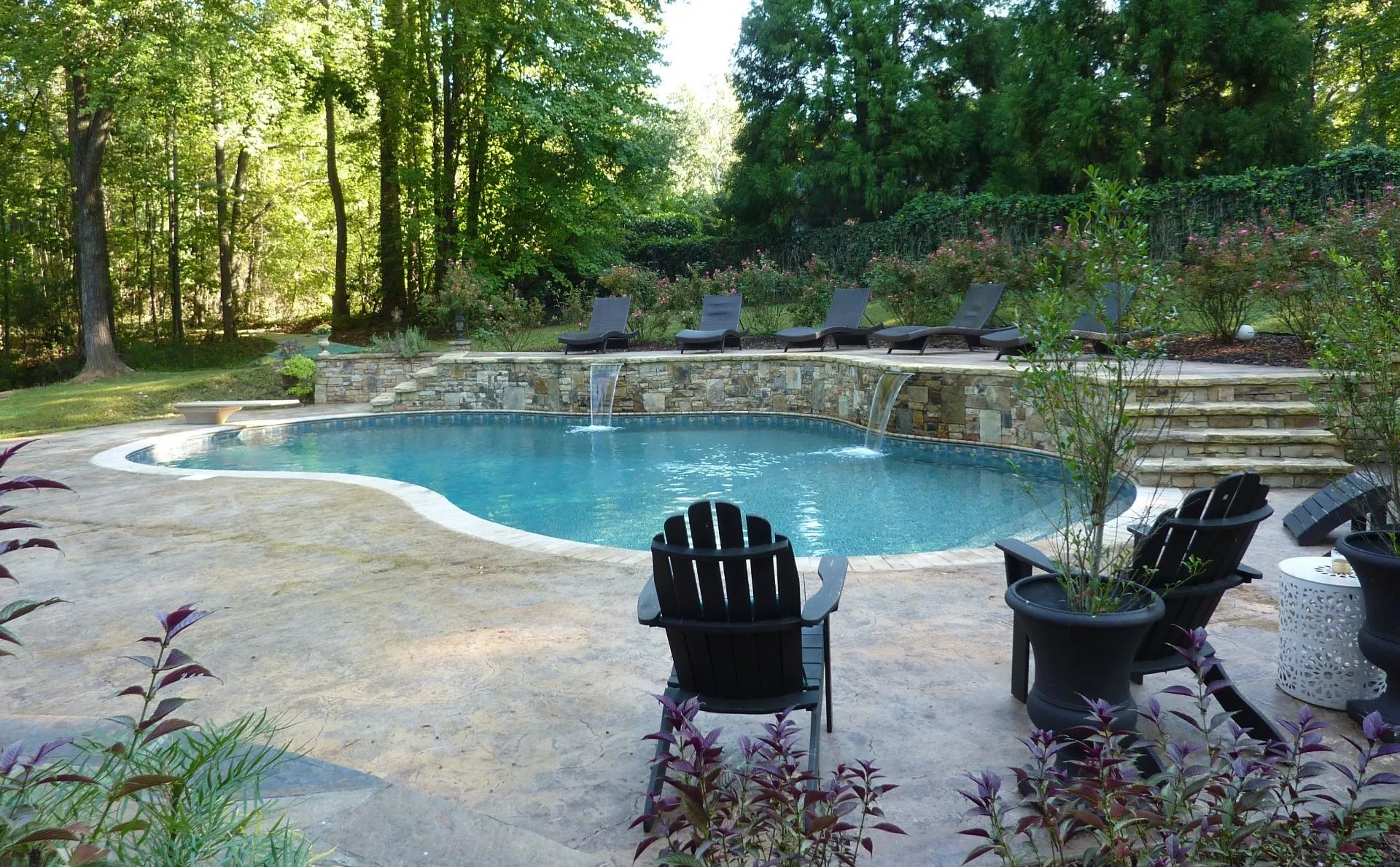 Beautiful freeform pool 